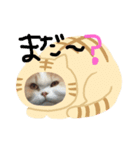 モロコシポ（個別スタンプ：2）