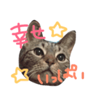 モロコシポ（個別スタンプ：6）