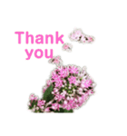 2019春Flower Thank you1（個別スタンプ：4）