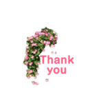 2019春Flower Thank you1（個別スタンプ：6）