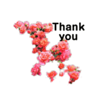 2019春Flower Thank you1（個別スタンプ：7）