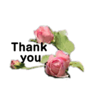 2019春Flower Thank you1（個別スタンプ：12）