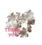 2019春Flower Thank you1（個別スタンプ：14）
