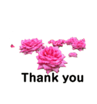2019春Flower Thank you1（個別スタンプ：16）