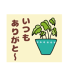 ややデカ文字 鉢植え編（個別スタンプ：15）