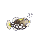 かわいい海の生きものたち（個別スタンプ：13）
