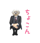 旦那×愛犬（個別スタンプ：24）