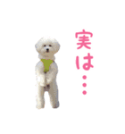 旦那×愛犬（個別スタンプ：38）