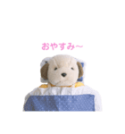 ラマダくんの日常（個別スタンプ：4）