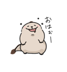 毛布たん（獣）（個別スタンプ：1）