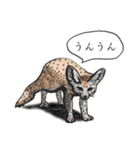 おしゃべり動物アクリル画（個別スタンプ：4）