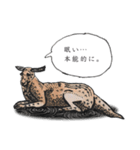 おしゃべり動物アクリル画（個別スタンプ：5）