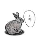 おしゃべり動物アクリル画（個別スタンプ：28）