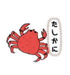海の生き物's（個別スタンプ：20）