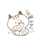 ダイエットしたいねこ（個別スタンプ：1）