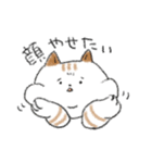 ダイエットしたいねこ（個別スタンプ：2）