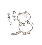 ダイエットしたいねこ（個別スタンプ：3）