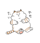 ダイエットしたいねこ（個別スタンプ：6）
