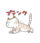 ダイエットしたいねこ（個別スタンプ：10）