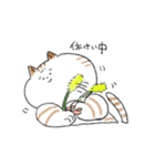 ダイエットしたいねこ（個別スタンプ：13）