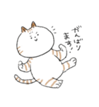 ダイエットしたいねこ（個別スタンプ：14）