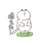 ダイエットしたいねこ（個別スタンプ：18）