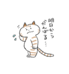 ダイエットしたいねこ（個別スタンプ：24）