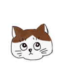 最近太ってきた猫（個別スタンプ：1）