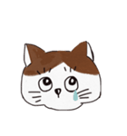最近太ってきた猫（個別スタンプ：14）