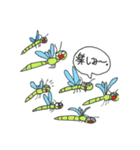 カブ1（個別スタンプ：19）