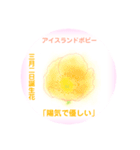 3月、誕生日の花 花言葉つき（個別スタンプ：2）