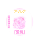 3月、誕生日の花 花言葉つき（個別スタンプ：4）