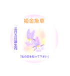 3月、誕生日の花 花言葉つき（個別スタンプ：5）