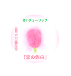 3月、誕生日の花 花言葉つき（個別スタンプ：6）