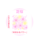 3月、誕生日の花 花言葉つき（個別スタンプ：9）