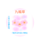 3月、誕生日の花 花言葉つき（個別スタンプ：10）