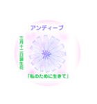 3月、誕生日の花 花言葉つき（個別スタンプ：12）