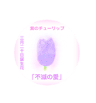 3月、誕生日の花 花言葉つき（個別スタンプ：20）