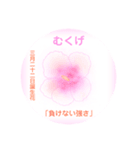 3月、誕生日の花 花言葉つき（個別スタンプ：22）