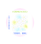 3月、誕生日の花 花言葉つき（個別スタンプ：24）