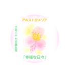 3月、誕生日の花 花言葉つき（個別スタンプ：27）