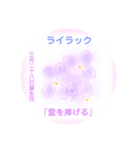 3月、誕生日の花 花言葉つき（個別スタンプ：28）
