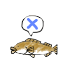根魚のあいなめさん（個別スタンプ：6）