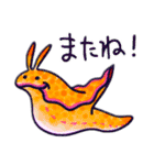 ウミウシ 日常編（個別スタンプ：22）