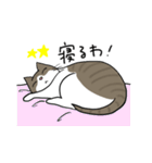 ナノときなこ3(関西弁）（個別スタンプ：40）