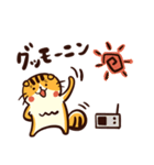 褒めるネコ「ほめ太くん」<毎日使える♪>（個別スタンプ：1）