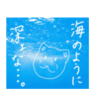 かわいいどうぶつたちセリフ付き（個別スタンプ：37）