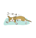 やんちゃ猫会話2（個別スタンプ：6）
