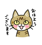 トラ猫キビちゃん（個別スタンプ：1）