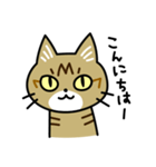 トラ猫キビちゃん（個別スタンプ：2）